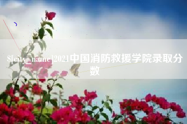 盐城2021中国消防救援学院录取分数