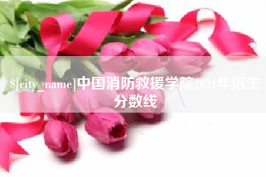盐城中国消防救援学院2021年招生分数线