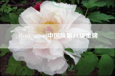 盐城中国队第八块金牌