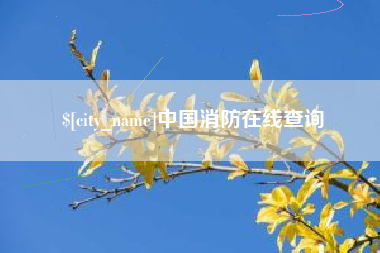 盐城中国消防在线查询