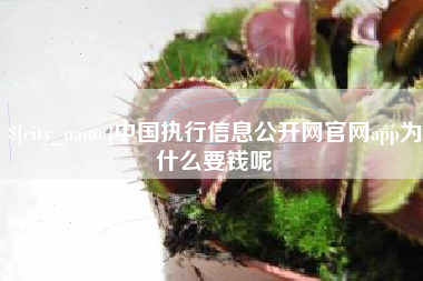 盐城中国执行信息公开网官网app为什么要钱呢