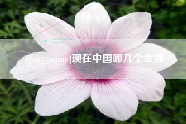 盐城现在中国哪几个金牌