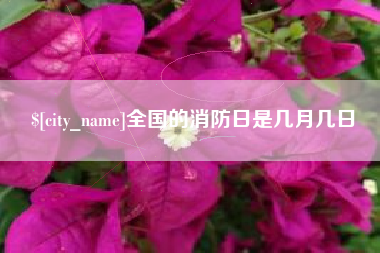 盐城全国的消防日是几月几日