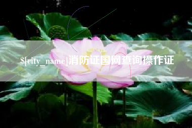 盐城消防证国网查询操作证
