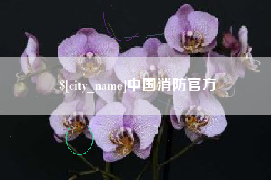 盐城中国消防官方