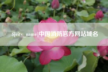 盐城中国消防官方网站域名