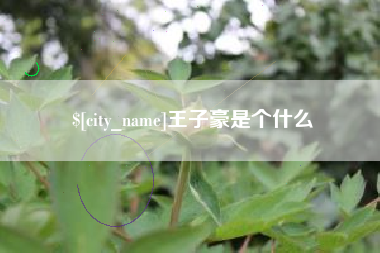 盐城王子豪是个什么