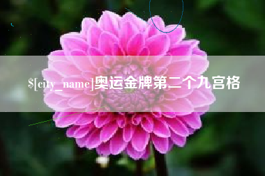 盐城奥运金牌第二个九宫格