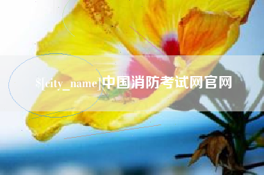 盐城中国消防考试网官网
