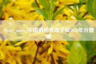 盐城中国消防救援学院2020年分数线