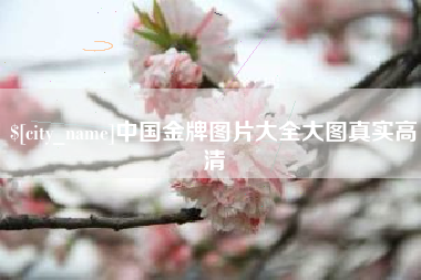 盐城中国金牌图片大全大图真实高清