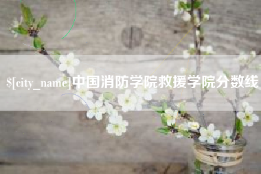 盐城中国消防学院救援学院分数线