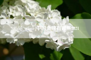 盐城中国金牌有哪些2021
