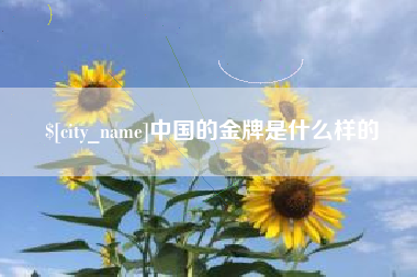 盐城中国的金牌是什么样的