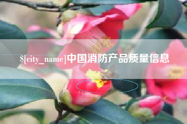 盐城中国消防产品质量信息