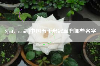 盐城中国五千米冠军有哪些名字
