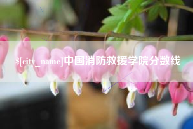 盐城中国消防救援学院分数线