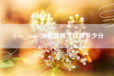 盐城消防救援学院要多少分
