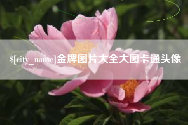 盐城金牌图片大全大图卡通头像