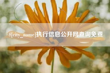盐城执行信息公开网查询免费
