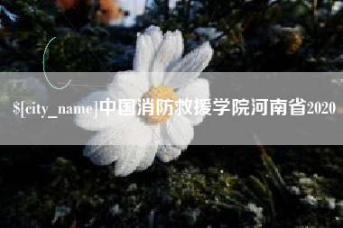 盐城中国消防救援学院河南省2020