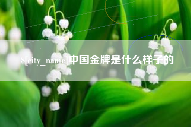 盐城中国金牌是什么样子的